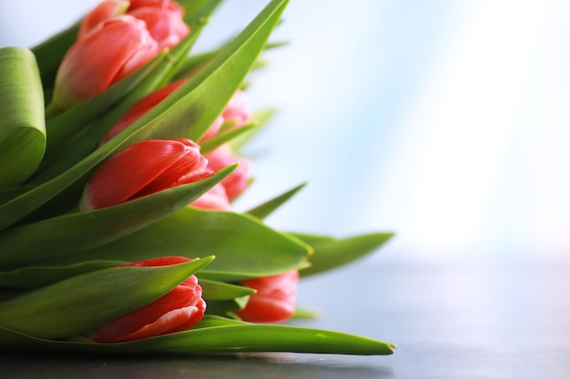 Flores vacaciones de primavera y concepto de decoración del hogar Ramo de hermosos tulipanes fondo floral