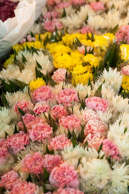 Foto flores en varios colores.