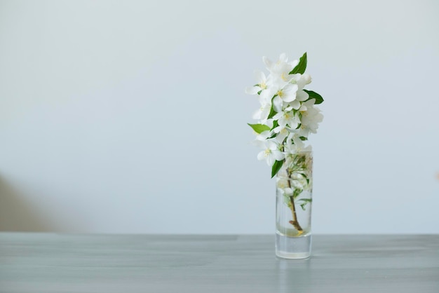 Flores en un vaso de agua