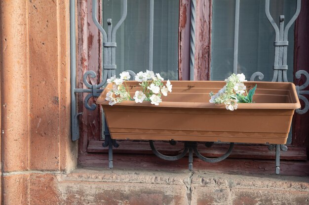 Flores en una ventana en la calle