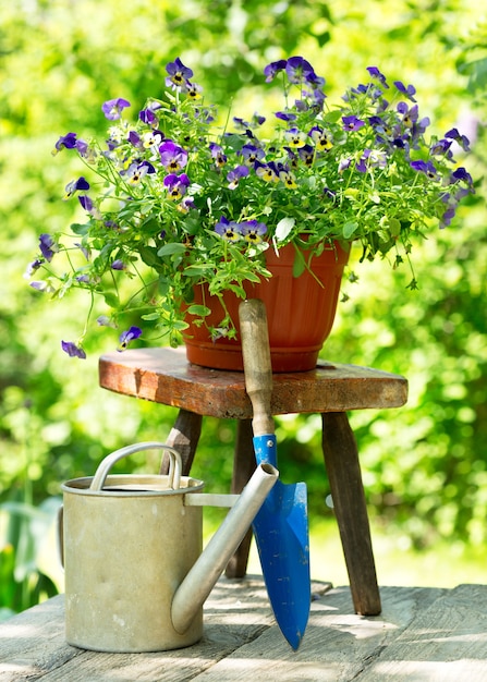 Flores de verano con herramientas en un jardín.