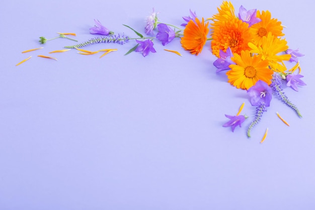 Flores de verano sobre fondo de papel violeta