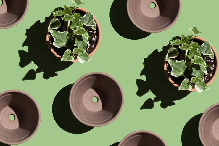 flores verdes en macetas Concepto de jardinería doméstica