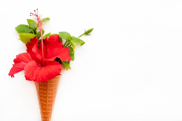 Foto flores vermelhas hibisco em arranjo de cone estilo cartão postal plano