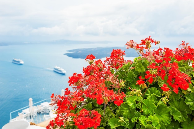 Flores vermelhas no terraço com vista para o mar. Ilha de Santorini, Grécia. Foco seletivo