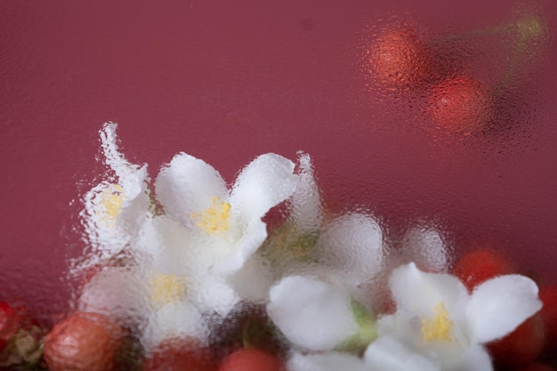 Flores bajo vidrio con gotas de agua Fondo creativo floral de moda