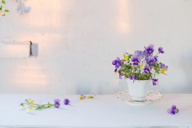 Flores de viola en taza blanca sobre fondo blanco.