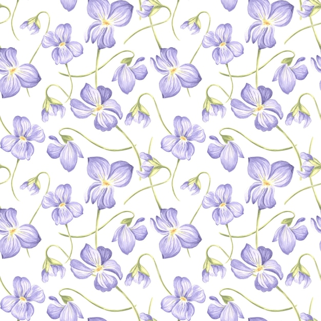 Flores Violet patrón sin costuras acuarela jardín pansy Ilustración dibujada a mano de la flor de primavera planta silvestre de prado Viola plantilla de dibujo botánico para papel tapiz scrapbooking envoltura textil