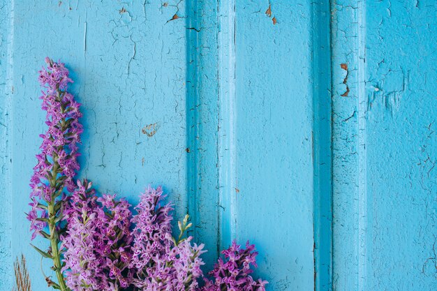 Flores violetas de Dactylorhiza maculata sobre un fondo azul de madera