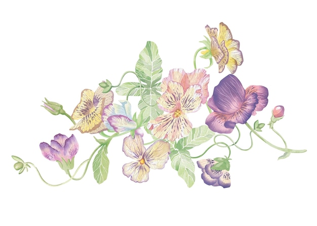 Flores de violetas Ilustración de clipart de acuarela de composición floral abstracta sobre fondo blanco Para invitaciones tarjetas postales tarjetas de visita Decoración de tazas platos otros materiales impresos