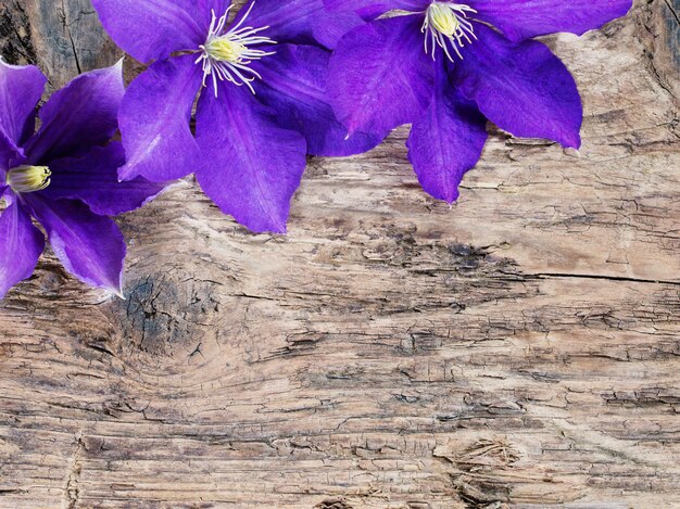 Flores violetas sobre fondo de madera