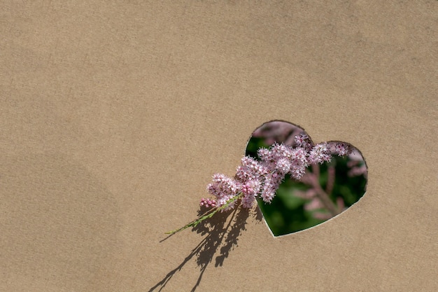 Flores vistas em forma de coração cortadas em papelão