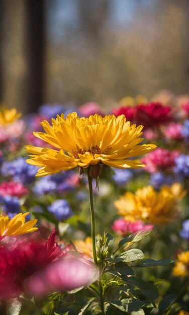 Foto las flores