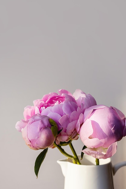 Florescendo buquê de flores de peônia rosa branca fofa em fundo cinza pastel minimalista elegante Composição floral mínima criativa Papel de parede botânico deslumbrante ou cartão de felicitações vívido