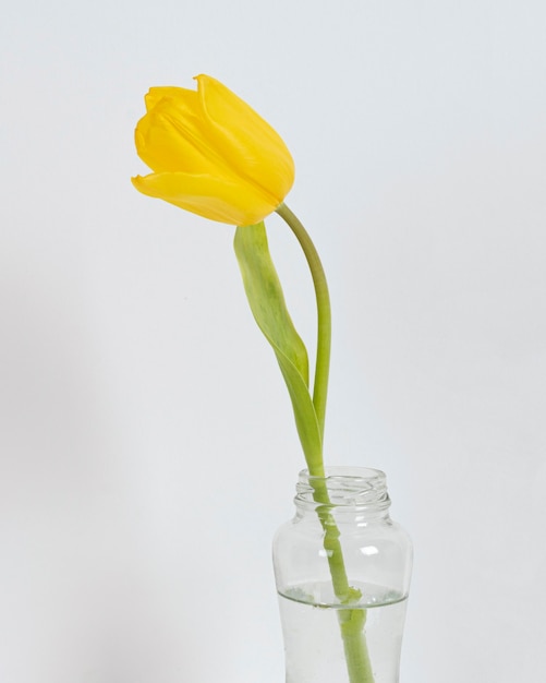 Foto florescendo em um vaso na mesa