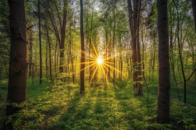 Floresta ao nascer do sol com raios de sol brilhando através das árvores criadas com ai generativo