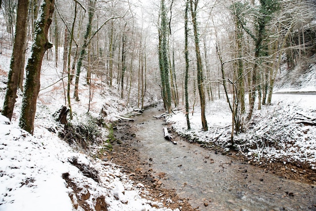 Floresta com riacho Black Ernz na cachoeira Scheissendempel coberta de neve Trilha Mullerthal