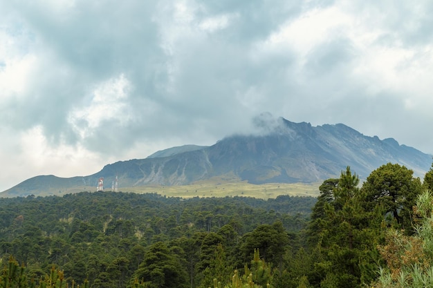 Floresta, cordilheira do vulcão nevado de Toluca