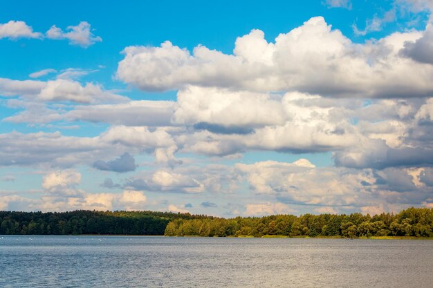 Floresta da paisagem da água e nuvens do rio Cumulus no céu azul