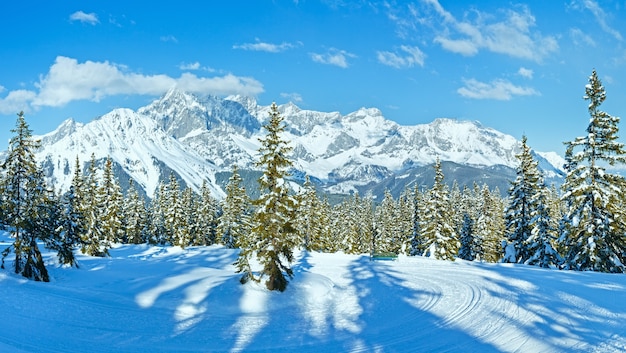 Foto floresta de abetos com neve no inverno, pista de esqui e maciço montanhoso dachstein (vista do topo de papageno bahn - filzmoos, áustria)