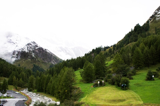 Foto floresta de árvores alpinas na montanha com alpes mais alta e mais extensa cordilheira em samnaun, uma aldeia alpina alta na região de graubunden, na suíça