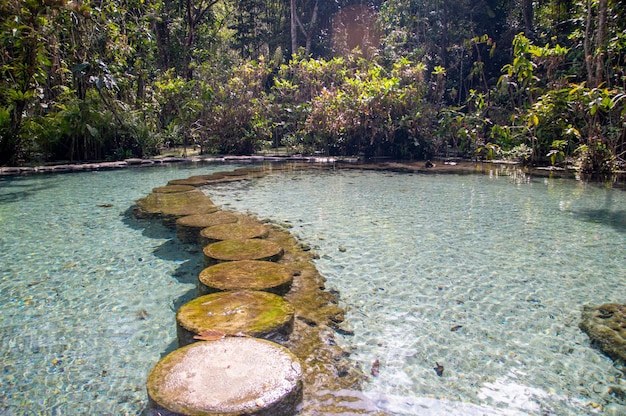 floresta de bacia hidrográfica em Surat Thani Tailândia tem água cristalina A atração turística mais visitada
