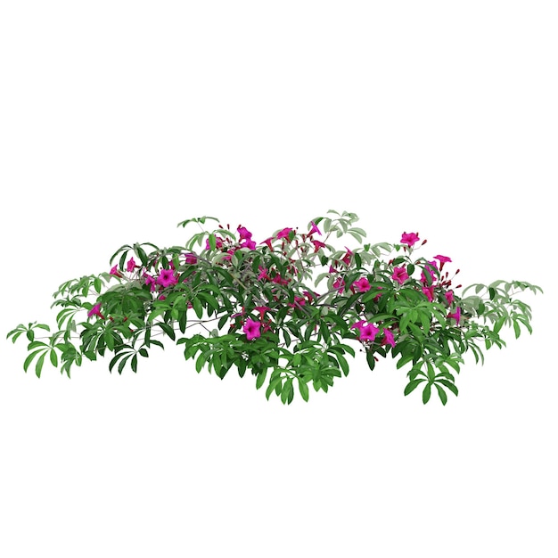 Floresta de flores cor-de-rosa