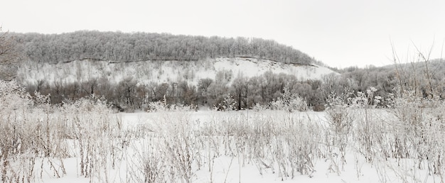 Floresta de inverno coberta de geada no meio da Rússia