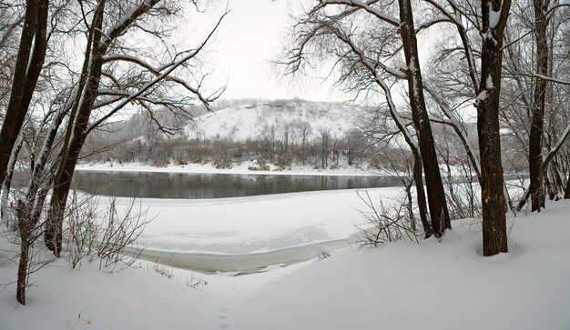 Floresta de inverno nas margens do rio don, na superfície das montanhas de giz. lagoa congelada fotografada na rússia.