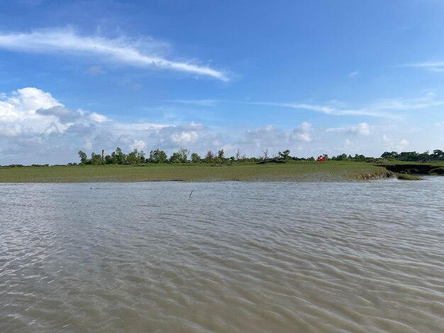 Floresta de manguezais com bela praia