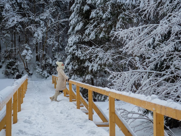 Floresta de montanha no inverno