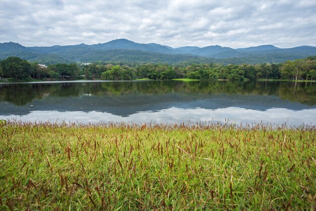 Floresta de montanhas com o fundo do céu azul do reservatório