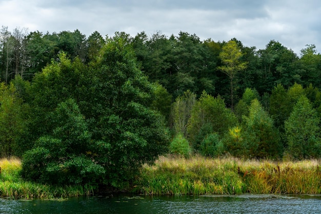 Floresta de outono ao longo do rio e do lago O sol poente ilumina as copas das árvores Margem arenosa íngreme acima de um rio largo Outono caminha em lugares ecologicamente limpos