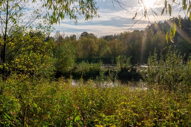 Floresta de outono ao longo do rio e do lago O sol poente ilumina as copas das árvores Margem arenosa íngreme acima de um rio largo Outono caminha em lugares ecologicamente limpos