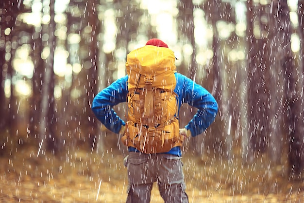 Floresta de outono chuvosa, paisagem, um homem em uma caminhada na floresta molhada de outubro, mau tempo frio