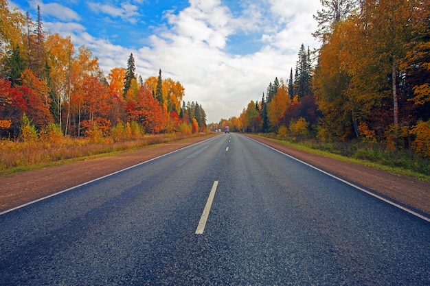 Floresta de outono colorida bela paisagem com estrada de asfalto e caminhões se movendo à distância