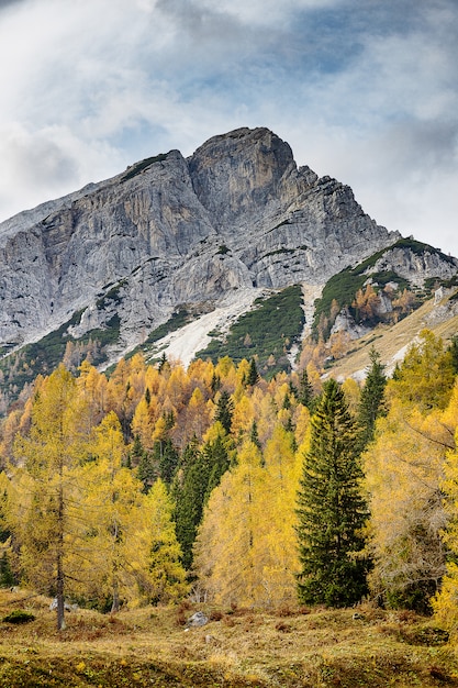 Floresta de outono colorida nos alpes eslovenos, com enormes montanhas rochosas