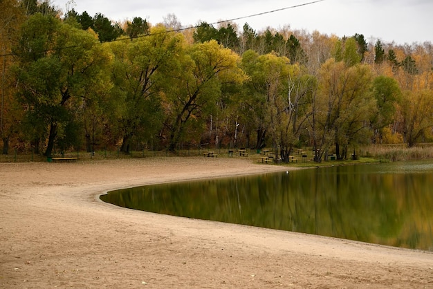 Floresta de outono em uma pequena ilha Reflexão de árvores laranja e verdes no lago