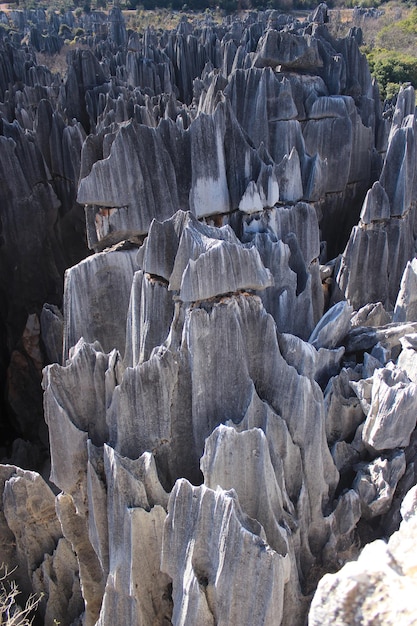 Floresta de pedra de topografia cárstica de Yunnan