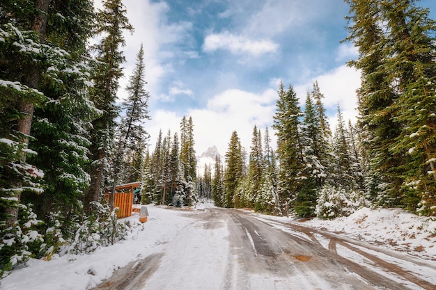 Floresta de pinheiros e montanhas rochosas na estrada com neve coberta no inverno no Parque Nacional de Yoho