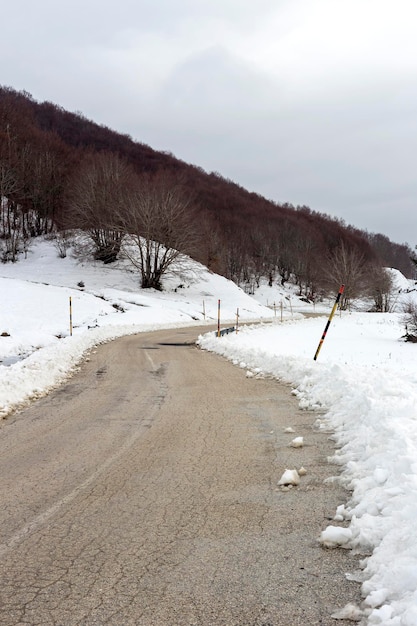 Floresta de pinheiros nas terras altas da região de Epirus Grécia e estrada secundária num dia de inverno