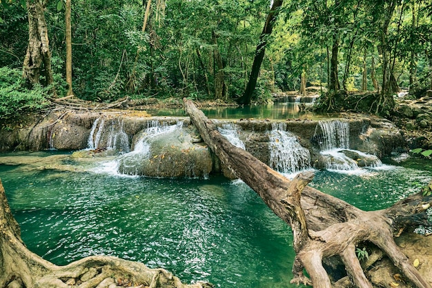 Floresta e cachoeira em Ton Nga Chang Waterfall Songkhla Tailândia Atração turística e famosa paisagem natural de selvas ao ar livre