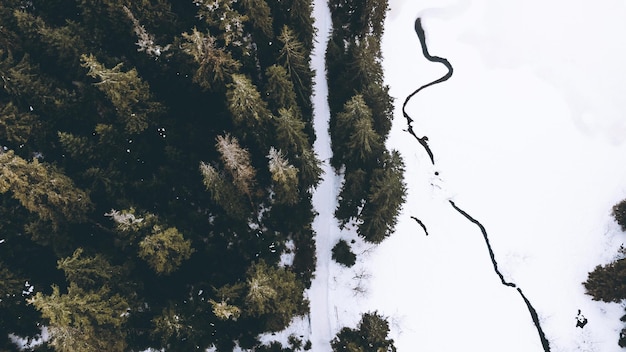 Floresta e lago congelado na vista superior de inverno