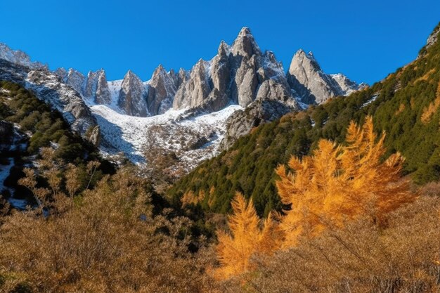 Floresta e montanhas com picos nevados