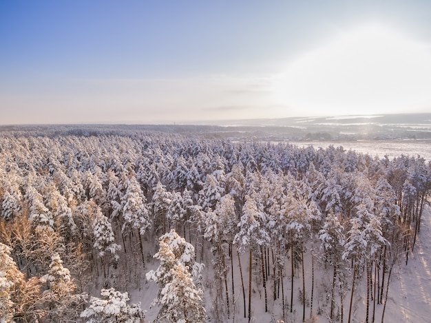 Floresta e prados de inverno vista aérea dia ensolarado e frio e queda de neve campo e lago congelado
