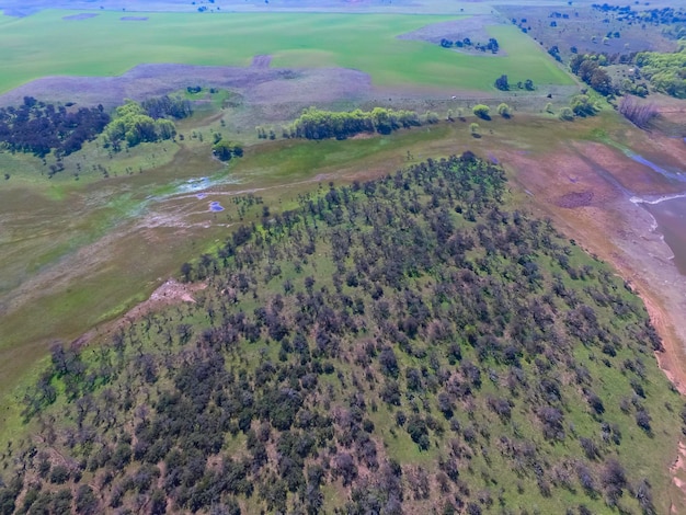 Floresta em Pampas Argentina