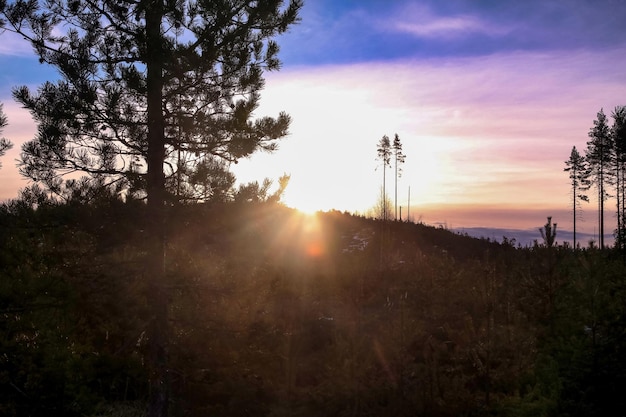 Floresta mística de inverno escandinavo ao pôr do sol na Carélia