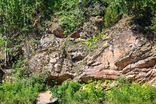 Floresta na encosta da montanha de pedra