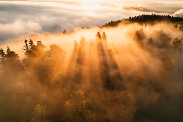 Floresta nebulosa com raios solares Vista superior do drone do vale da montanha em nuvens baixas Vista aérea do pico da montanha com árvores verdes no nevoeiro