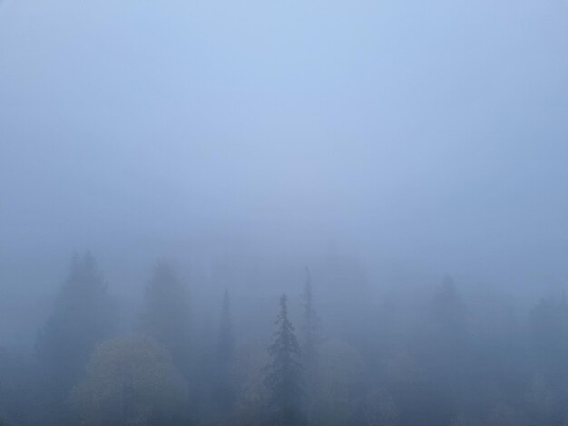 Floresta nebulosa nas montanhas do Alto Tatras